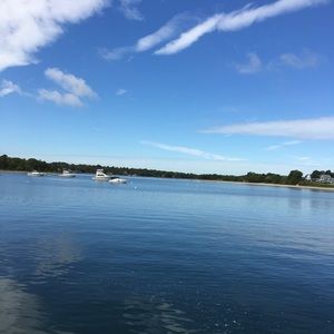 Meet your Posher, Shyanne